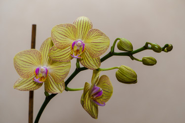 Similar image 21882428