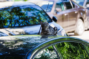 Similar image 21882429