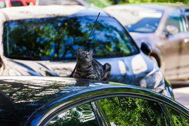 Similar image 21882430