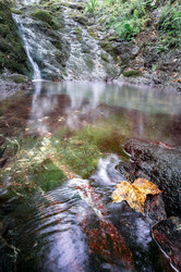 Similar image 21887538