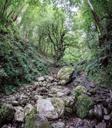 Similar image 21887539