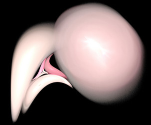 Similar image 21884109