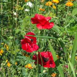 Similar image 21878608