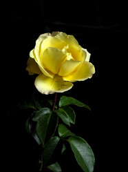 Similar image 21878609