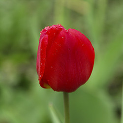 Similar image 21878610