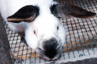 Similar image 21878692