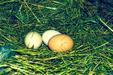 Similar image 21878693