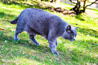 Similar image 21878695