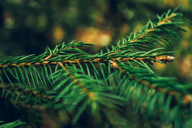 Similar image 21878696