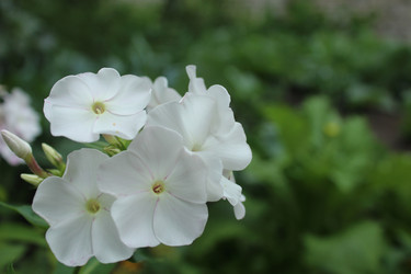 Similar image 21879479