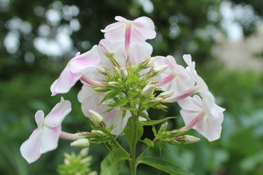 Similar image 21879480