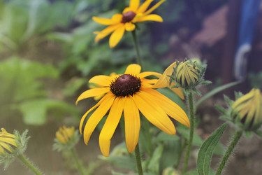 Similar image 21879483