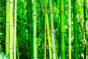 Similar image 21880103