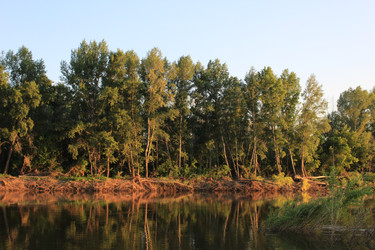 Similar image 21878551