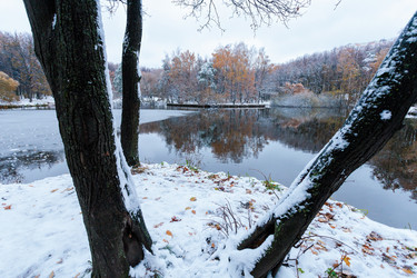 Similar image 21878553