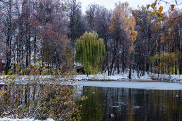 Similar image 21878554