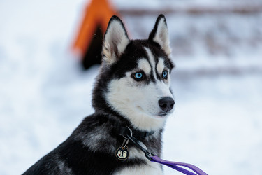 Similar image 21883781