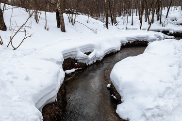 Similar image 21883802