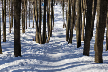 Similar image 21883805