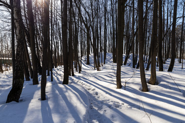 Similar image 21883806