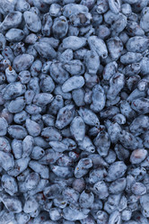 Similar image 21878612