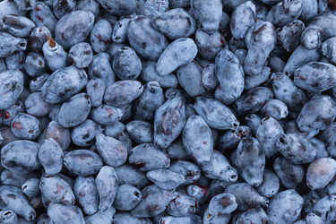 Similar image 21878613