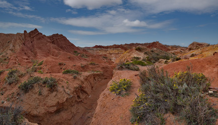 Similar image 21879871