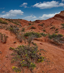 Similar image 21879873