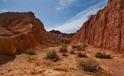 Similar image 21879882