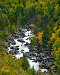 Similar image 21879007