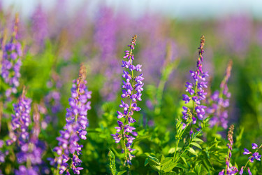 Similar image 21880384