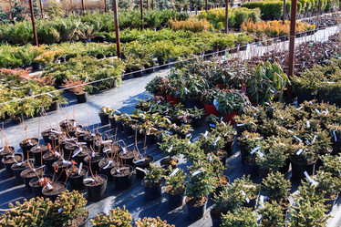 Similar image 21880388