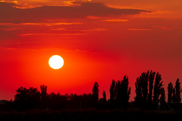 Similar image 21880410