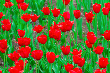 Similar image 21882854