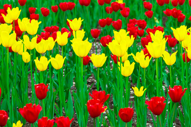 Similar image 21880165