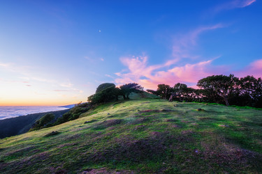 Similar image 21879300