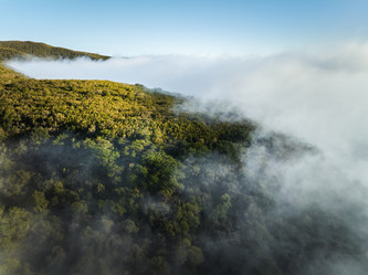 Similar image 21879314