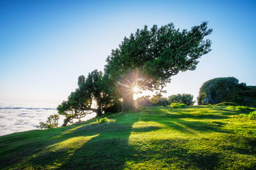 Similar image 21879319