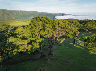 Similar image 21879320