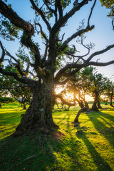 Similar image 21879322