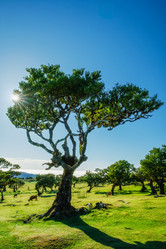 Similar image 21879327