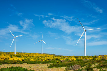 Similar image 21879332