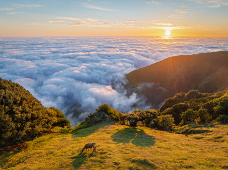 Similar image 21879340