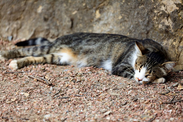 Similar image 21880184