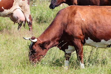 Similar image 21880411