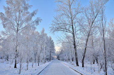 Similar image 21878836