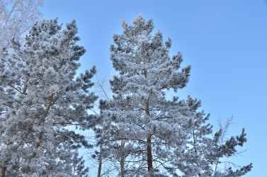 Similar image 21878837