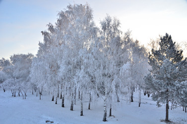 Similar image 21878840