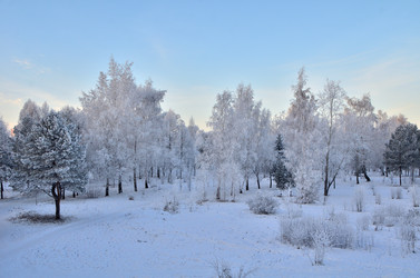 Similar image 21878841