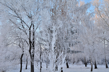 Similar image 21878842